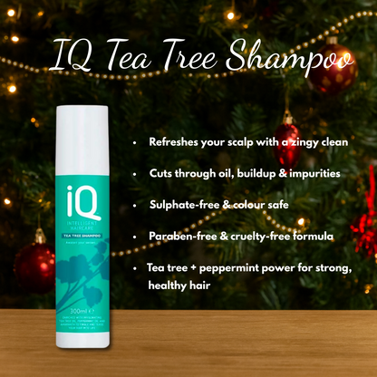 IQ Tea Tree Shampoo & Conditioner 300ml with Hair Brush + Christmas Gift Bag 🎁