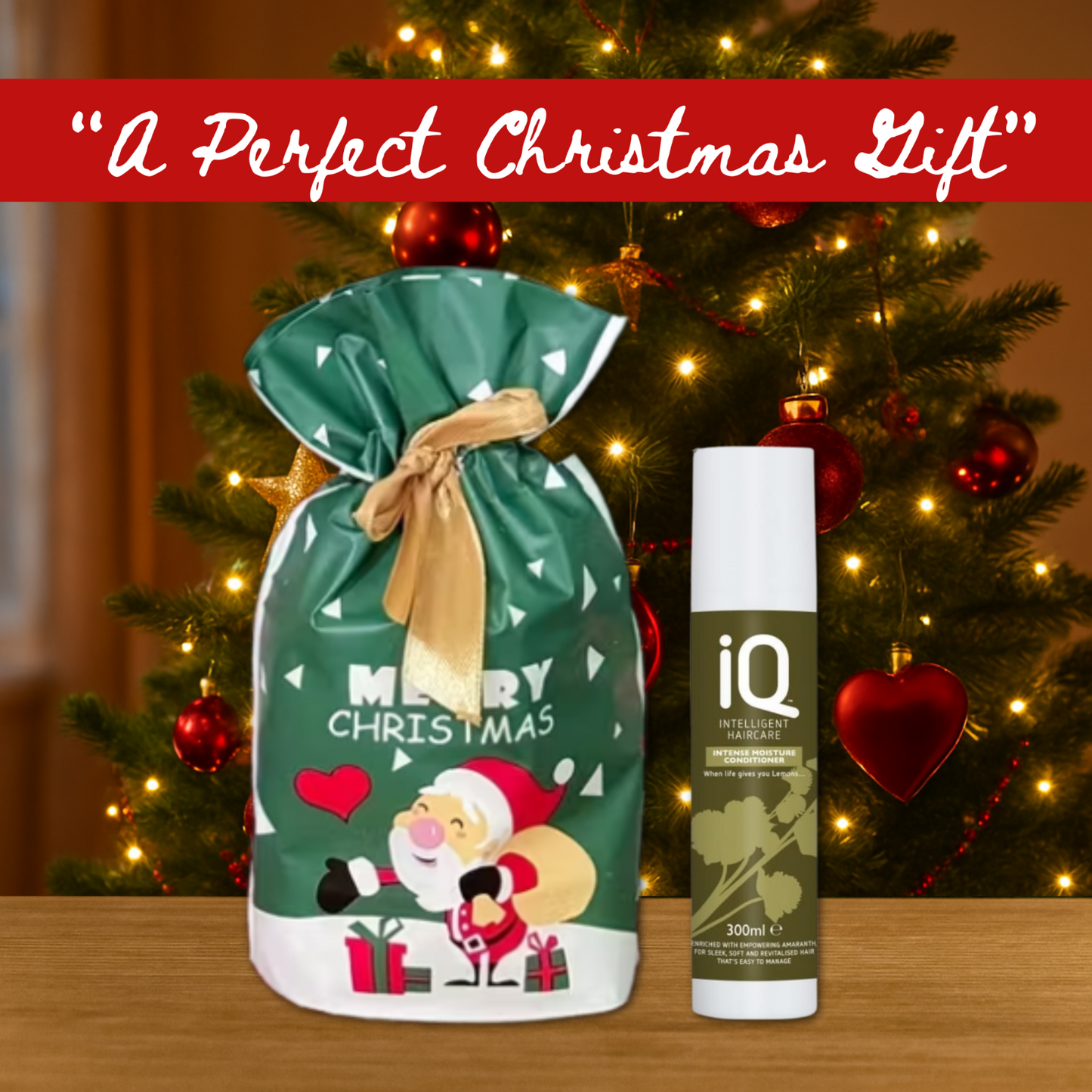 IQ Intelligent Haircare Intense Moisture Conditioner 300ml + Christmas Gift Bag
