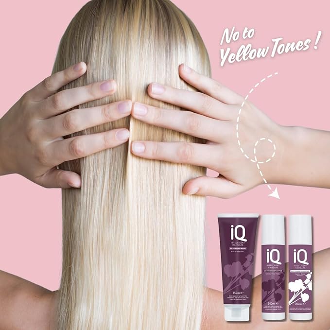 IQ Intelligent Haircare Silverising Shampoo 300ml & Silverising Mask 250ml with No Yellow Shampoo 300ml